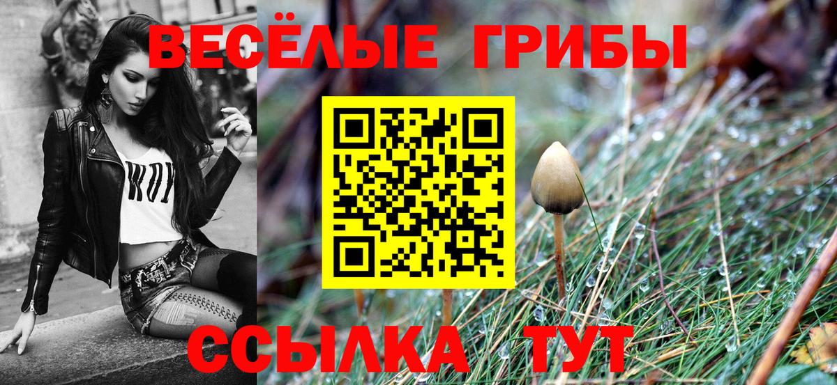 Галлюциногенные грибы Cubensis  Галлюциногенные грибы Psilocybe  Вход с VPN  наркота  Петропавловск-Камчатский 