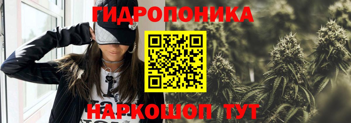 Канабис White Widow  Вход с VPN  Петропавловск-Камчатский  Каннабис сатива 